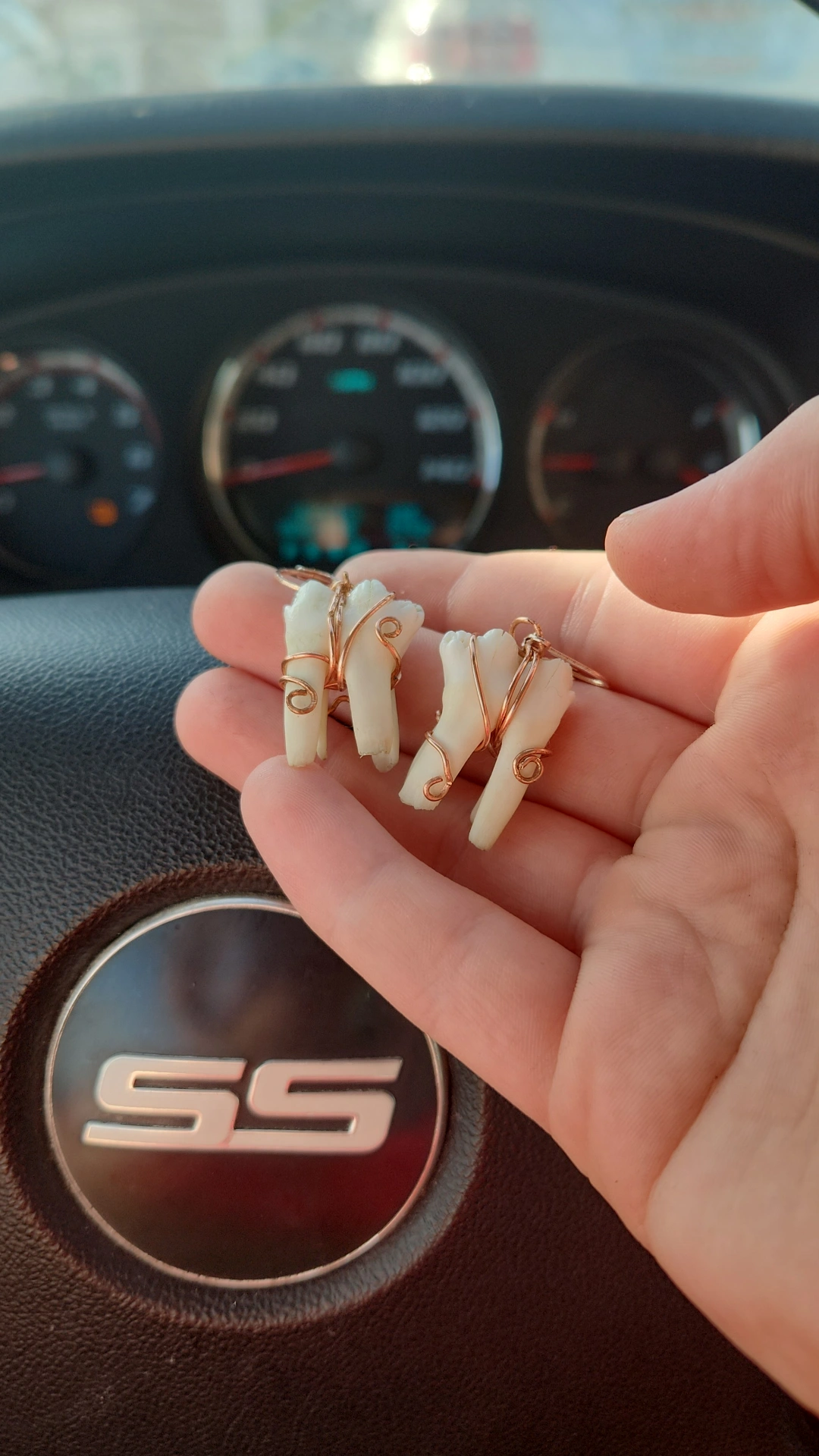Wire Wrapped Pig Tooth Earrings